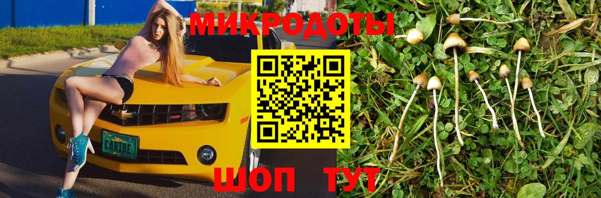Галлюциногенные грибы прущие грибы  Псилоцибиновые грибы GOLDEN TEACHER  Коммунар  Вход с VPN 